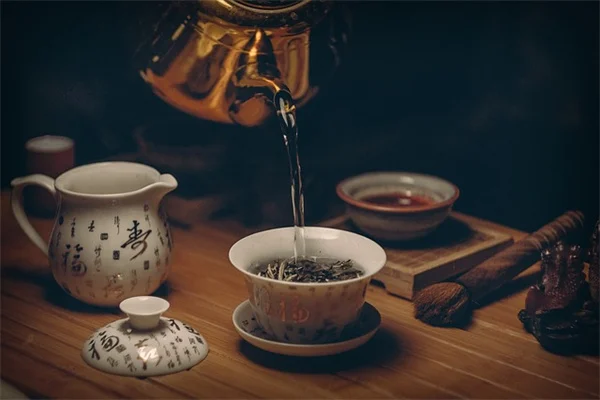 水挿しの成功率を上げる3つのコツ【初心者向け】