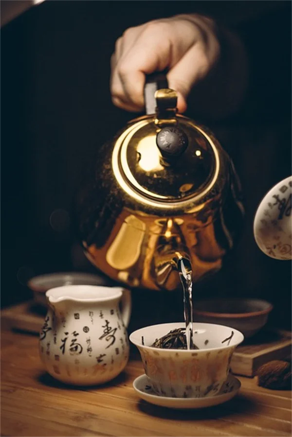 胡蝶蘭の気根は切ってはいけない？正しい扱い方と失敗しないコツ